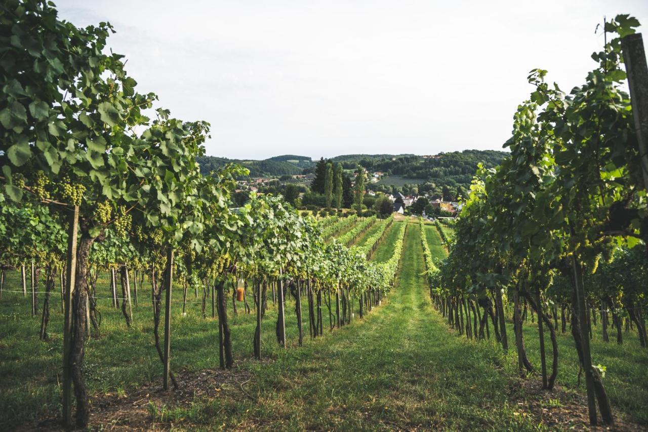 Wein & Gaestehof Erlacher Hartmannsdorf 外观 照片