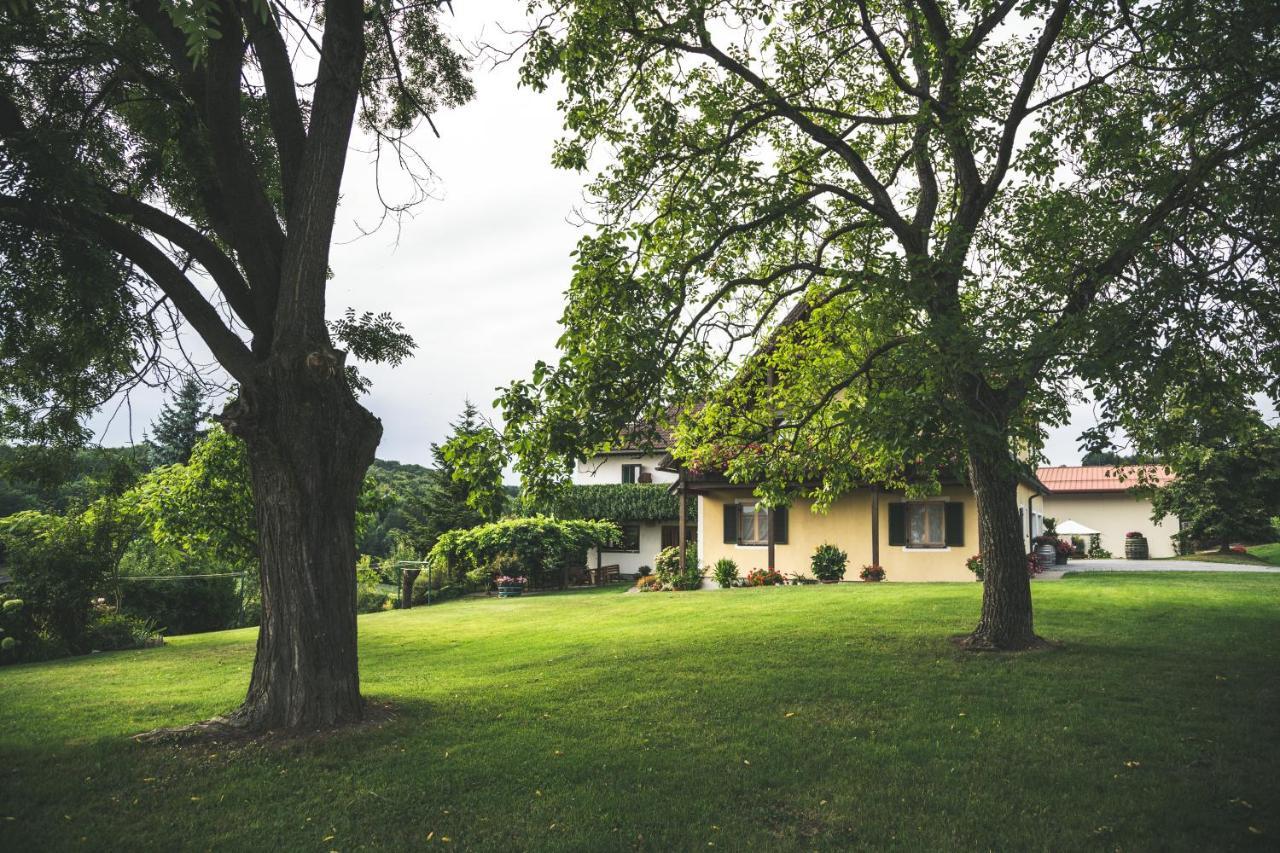 Wein & Gaestehof Erlacher Hartmannsdorf 外观 照片